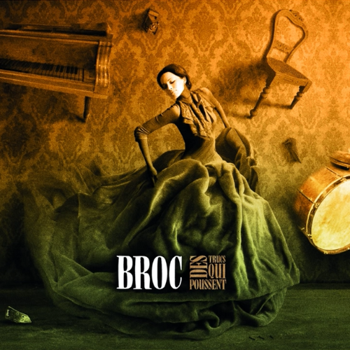 pochette album Des trucs qui poussent de BROC 